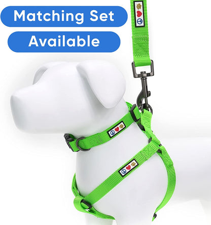6 FT Solid Color Leash for Puppy - Comfortable Handle Dog Training Leash - 6 Ft - Extra Small/Small - Green